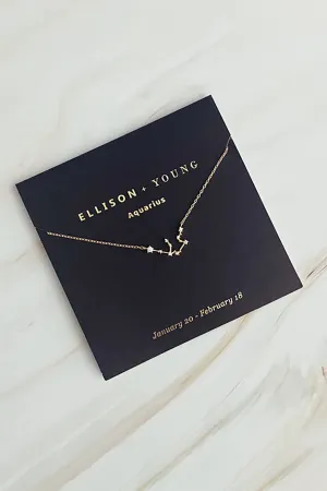 Zodiac Collection Necklace, Aquarius