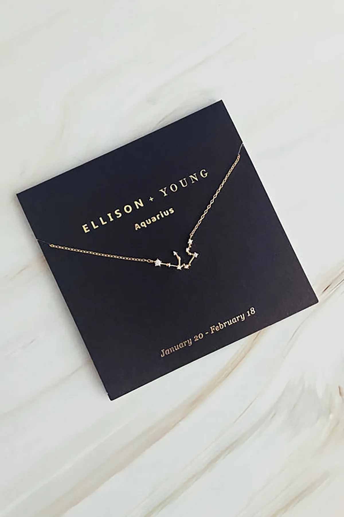 Zodiac Collection Necklace, Aquarius